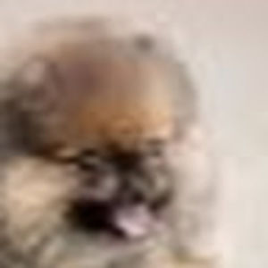 Meet your Posher, Madeline